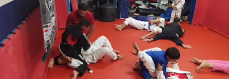 Centro Esportivo Santa Marta