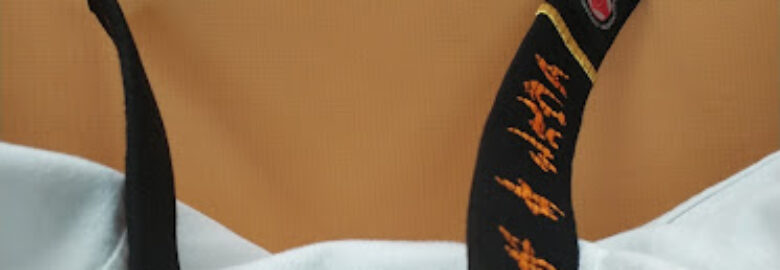Academia de Artes Marciais Moacir Lopes