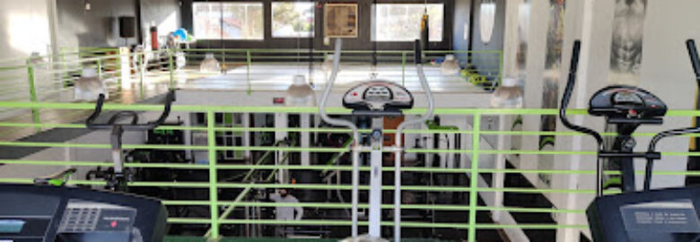 Gym Fitness 1