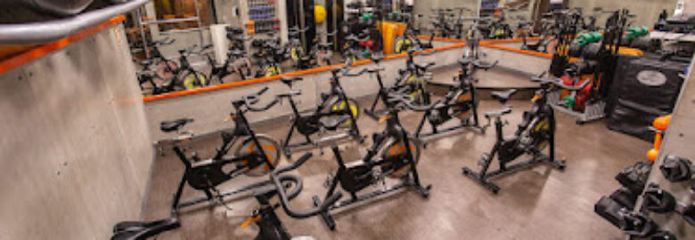 Academia Treinar