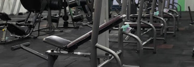 SoulFit Academia