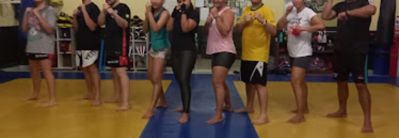 Centro De Treinamento Levy Tkd