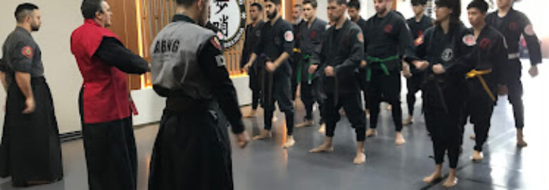 Hosho Ryu Ninpo