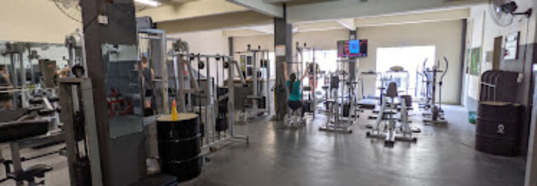 Vila Fitness Academia