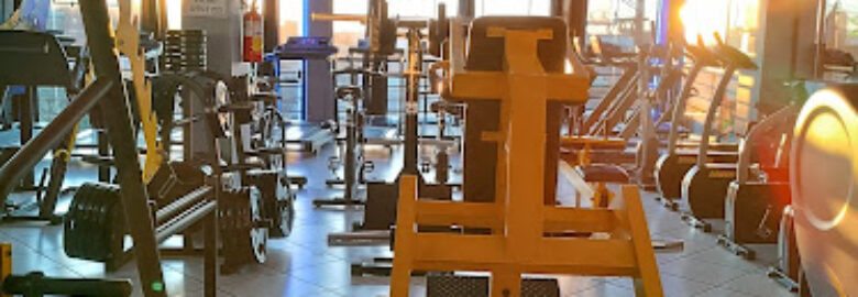 Fit Force Academia