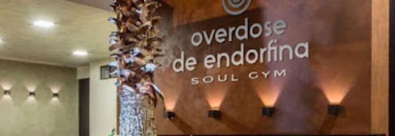 Overdose de Endorfina Soul Gym