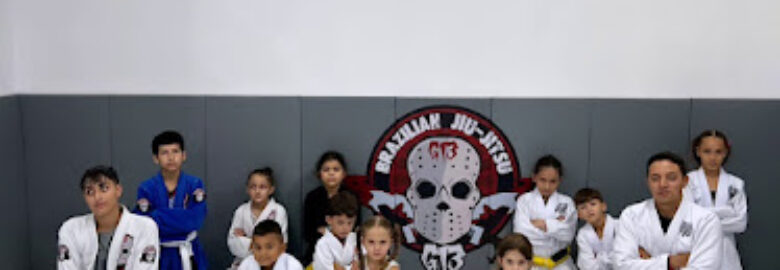G13 BJJ – Parque Paulistano / ZL