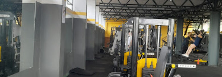 Academia Evolution Fit