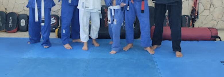 CT Shinobi bob team