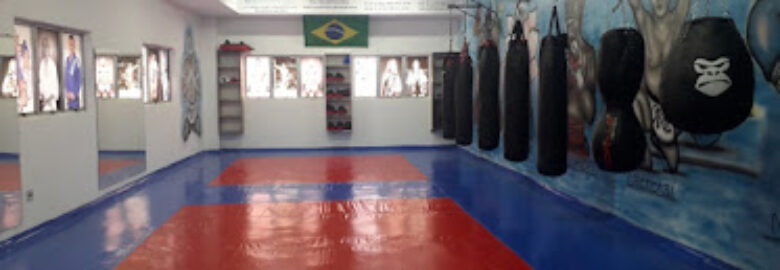 TOP FIGHT – Academia de Lutas