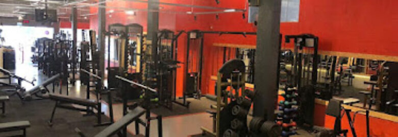 Academia No Pain No Gain Fitness