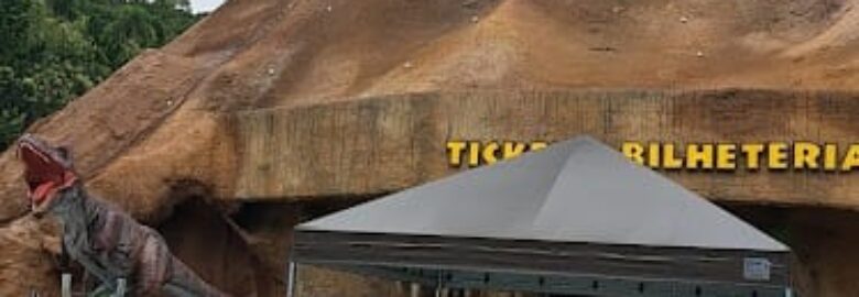 Daniel Perini Extreme Training