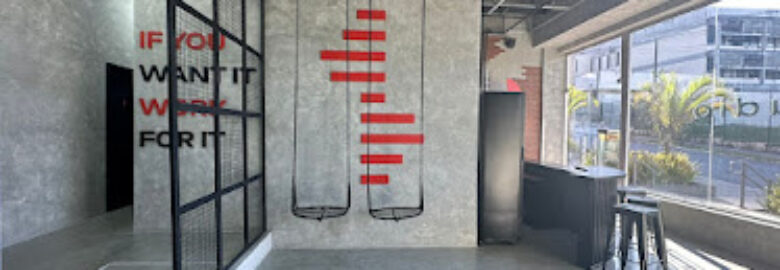 Suet Studio