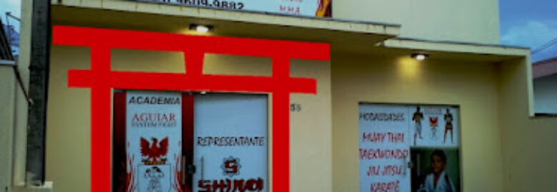 Karatê Nikkei Associação Araponguense no Aguiar System Fight