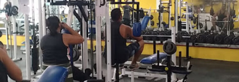 Academia Shark Fitness