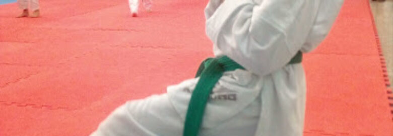 Pro Team Academia de Taekwondo