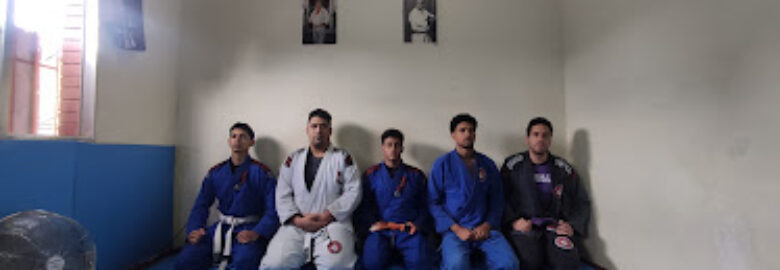 Escola de Jiu-Jitsu OokamiBJJ