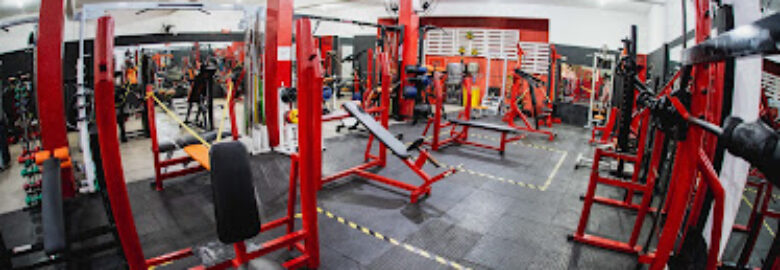 Center Fitness Alecrim