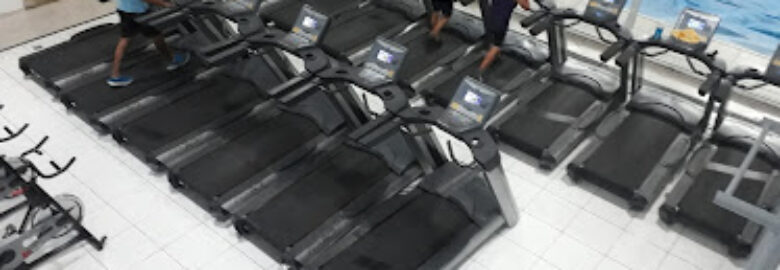 Fitness Fitness