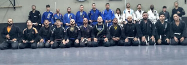 SP FIGHT PERFORMANCE