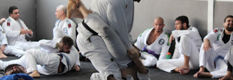 Ideal Jiu-Jitsu