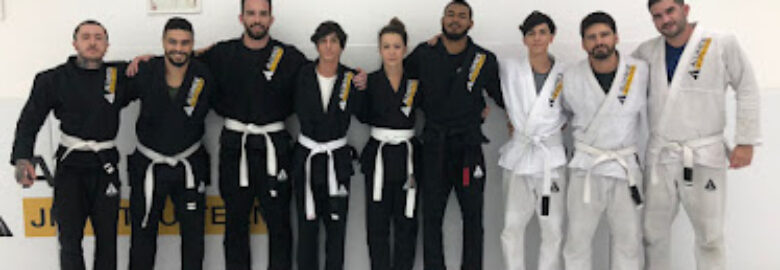 Alliance Vila Mariana
