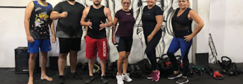 Cross Training Box 17