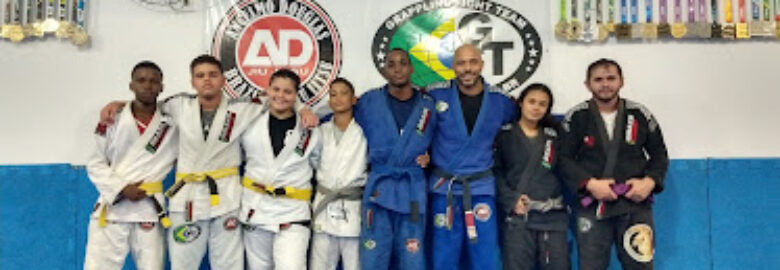 Gfteam Curicica