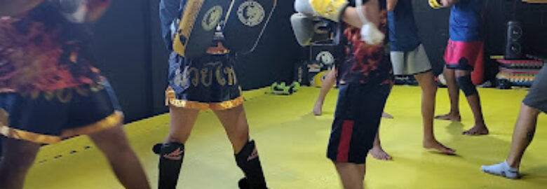 Studio de Muay Thai – Serpente de Ouro Team
