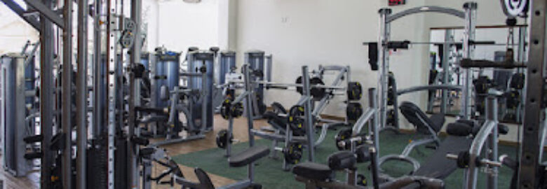 Academia Treee Wellness