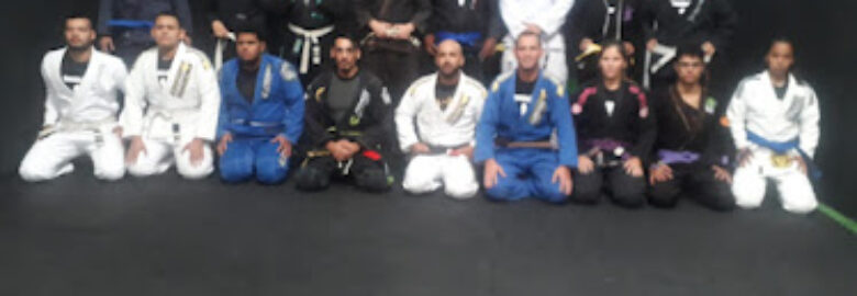 Projeto Jiu-Jitsu na Veia