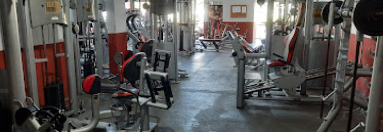 Academia Evolution Training