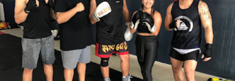 estudio breno boxe
