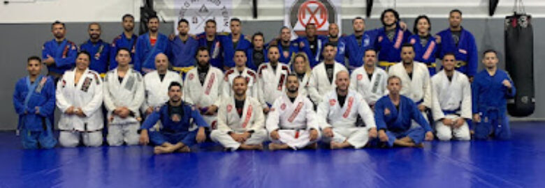 Studio Funcional Fight / Gracie Barra Sta. Amélia