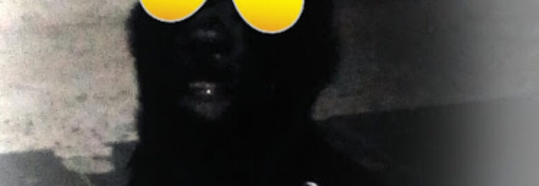 Luix Ta No Box