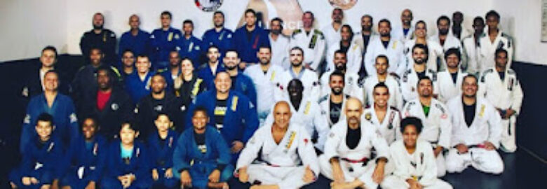 Alliance Méier BJJ