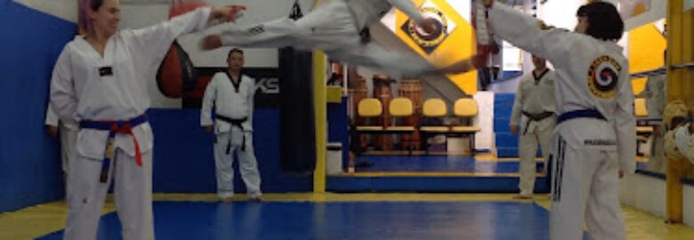 Academia de Artes Marciais Attack