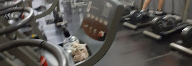 Performance Academia