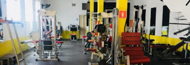 Treiny Academia UNIDADE 1