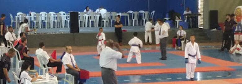 Denis dojo (academia de karatê)