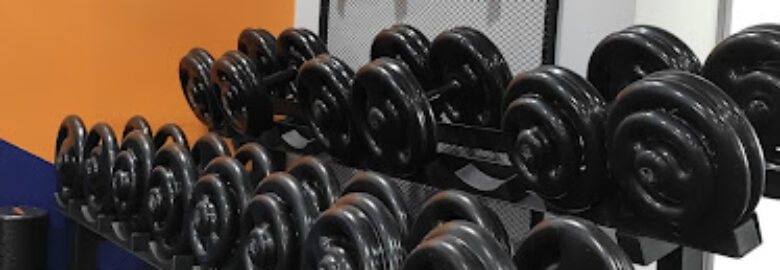 TF Fit Academia