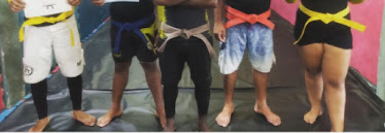 Centro Esportivo Estilo Livre