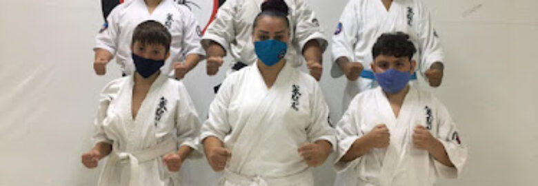 Academia Puro Impacto