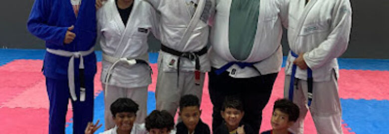 Jiu-jitsu E Karate Lutar e vencer