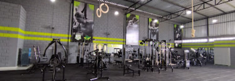 C.T. BioCross