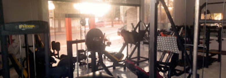 Academia mister Trainer