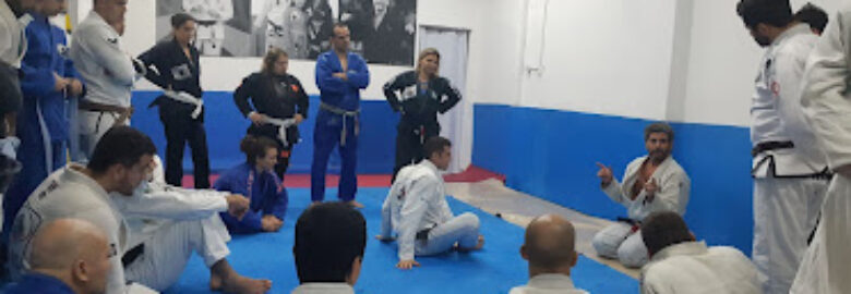 Academy Master Fights and Fitness