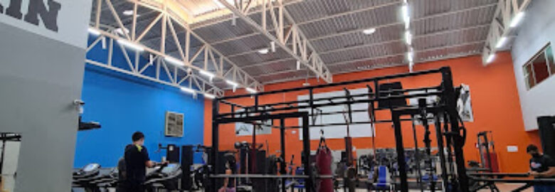 Go Training – Go Pulse