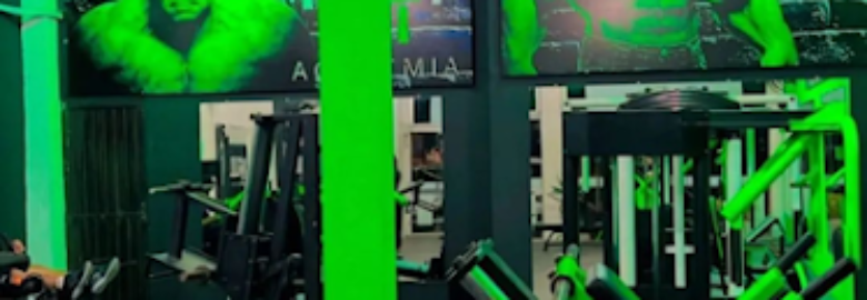 Vip Fit Academia