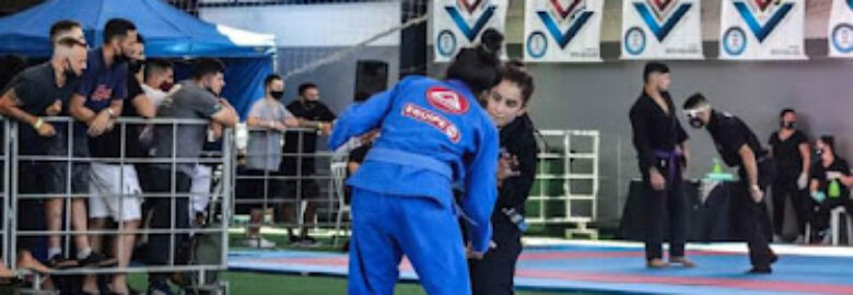 Gracie Barra Cidade Baixa